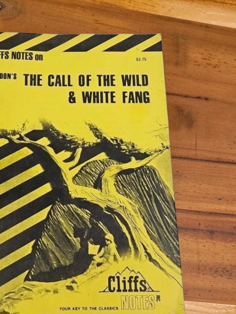 Vintage Cliffs Notes Booklets Set of 9 – Classic Literature Study Guides